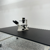 Nikon Eclipse TS100 Inverted Microscope image 0